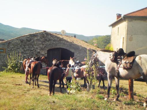 Le Relais Des Baronnies Hotell Montjay  Exteriör bild