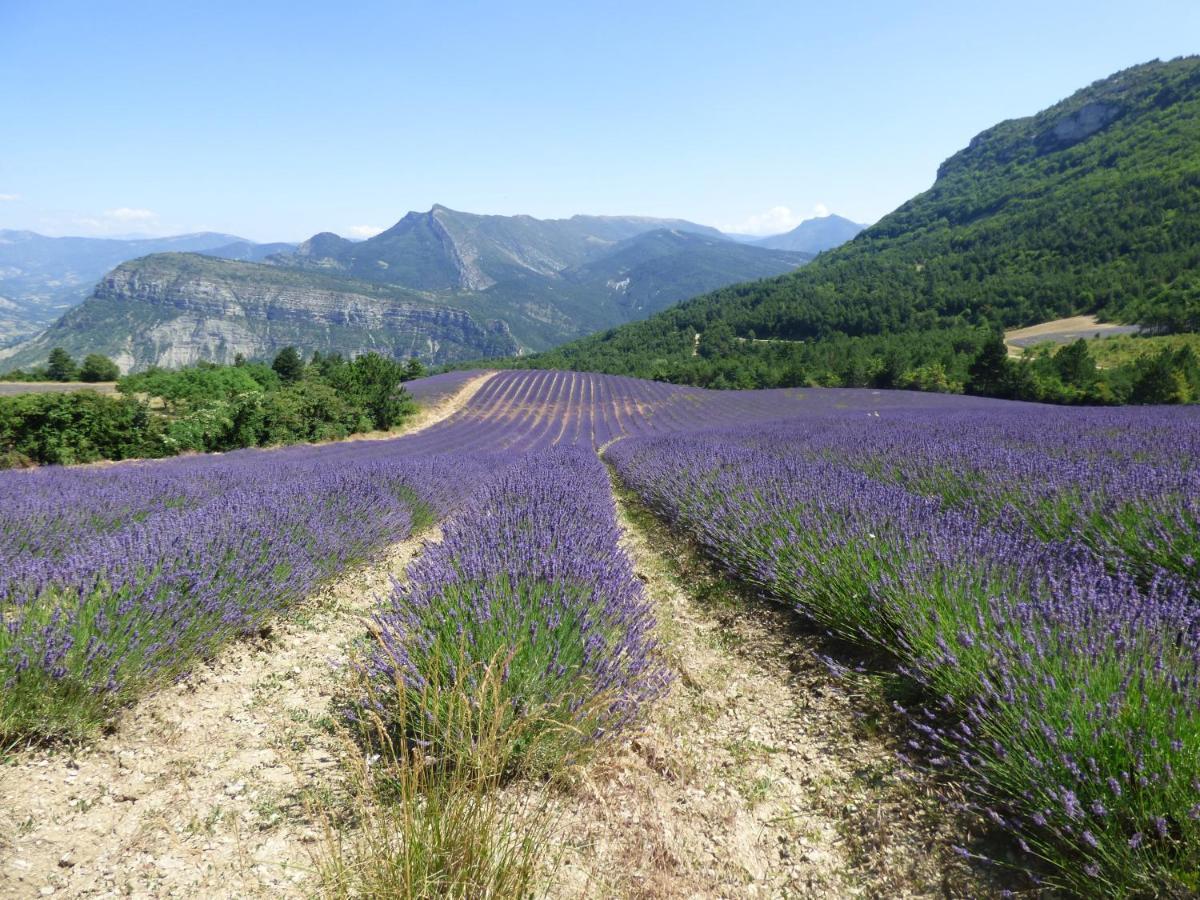 Le Relais Des Baronnies Hotell Montjay  Exteriör bild